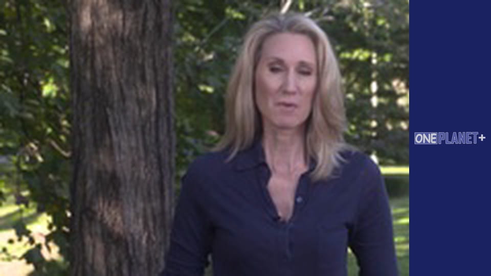 Your fantastic mind, Season 1, Episode 8