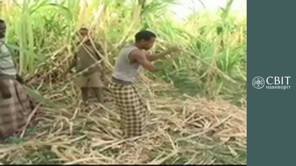 Сезон 3, Выпуск 12, Танзания