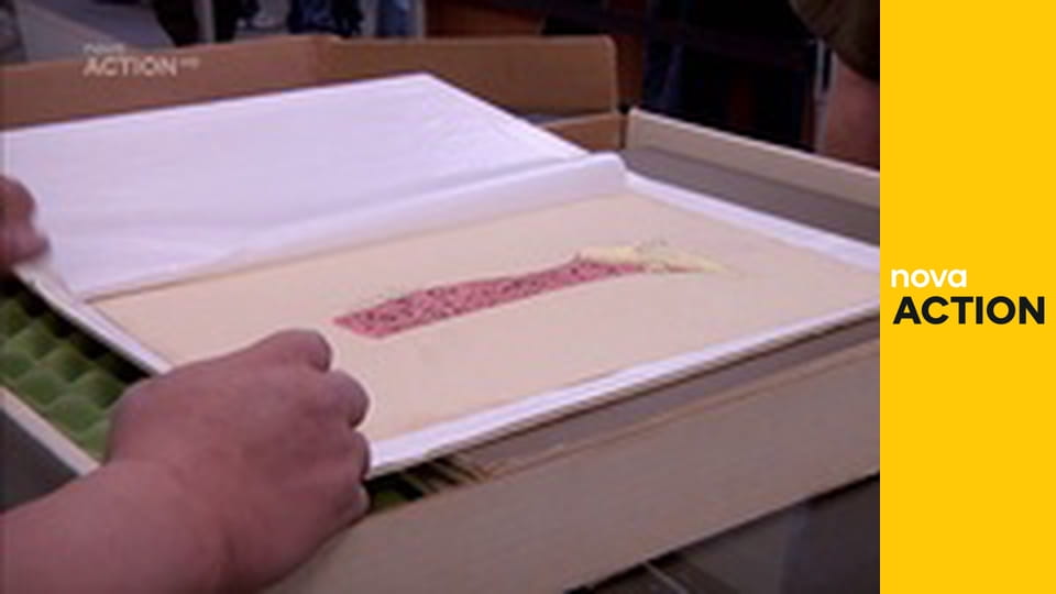 Mistři zastavárny S9E17 - Kouzelný autobus