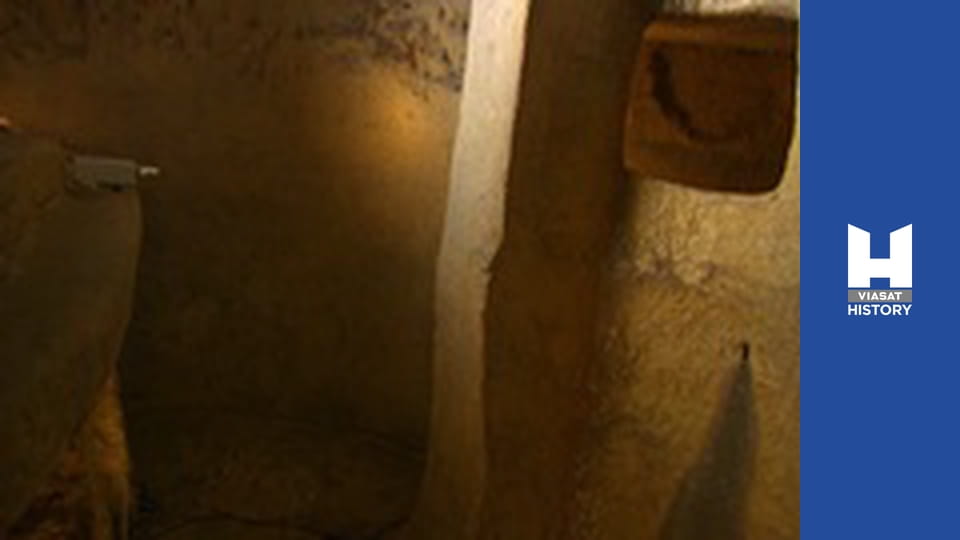 Заборонена історія - Сезон 7 - Черепа мальтійських прибульців