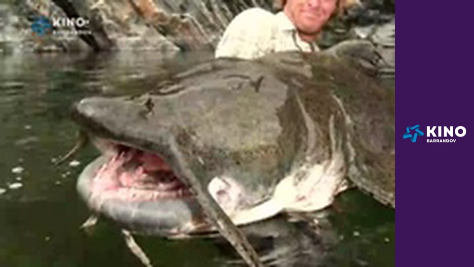 Exkluziv Kateřiny Brožové