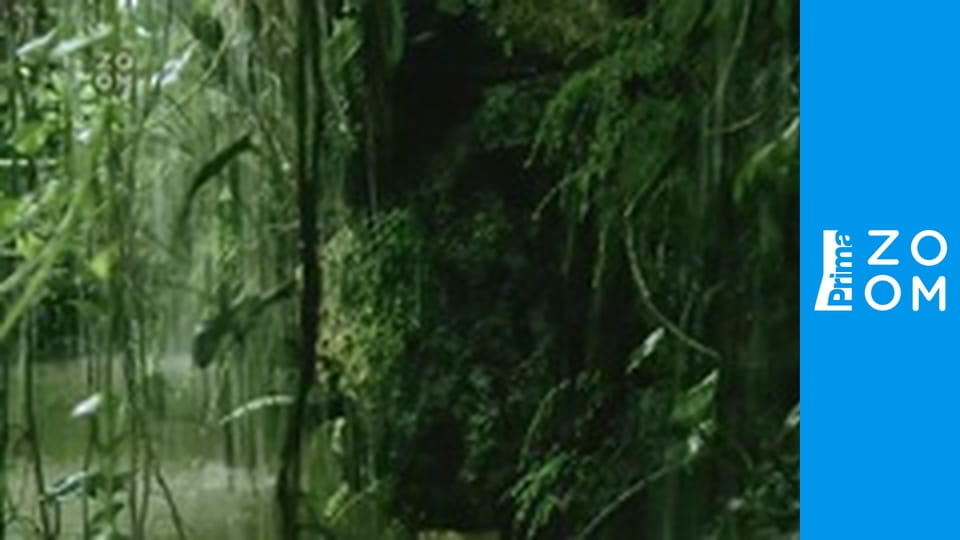 Smrtící věda S1E4 - Dávno zapomenuté stopy