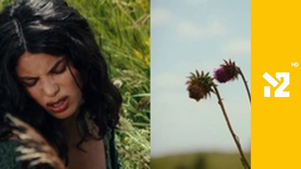 Хіти Non-Stop M2