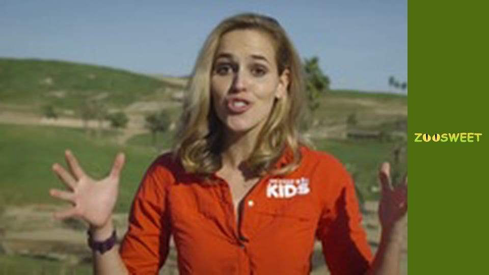 Дикий світ Сан-Дієго - серія 16