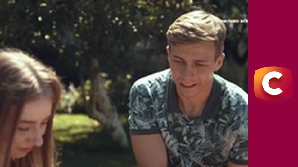 "Сліпа". Квітка папороті.