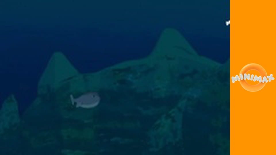 Příhody bílého delfína S1E49 - Podmořský fantom