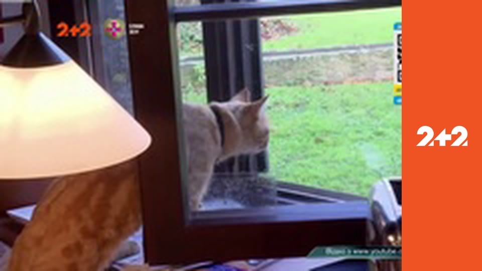 Загублений світ