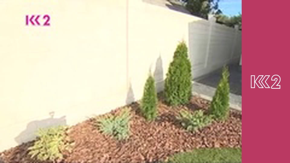 Удачний проект S4E47