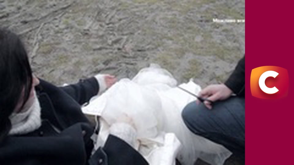 "Історія одного злочину", 7 сезон, 5 еп. "День холостяка".