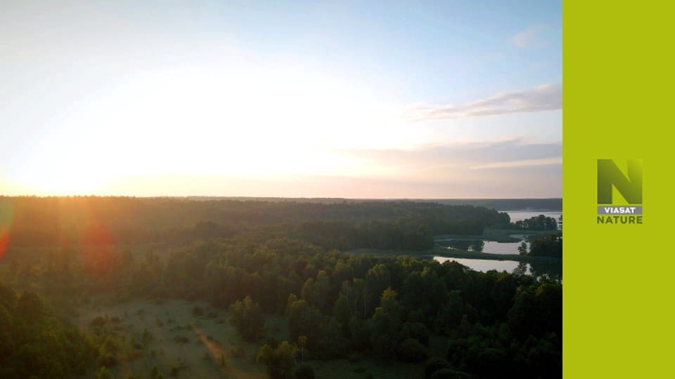 Дика природа Європи S1E6 - Росомаха