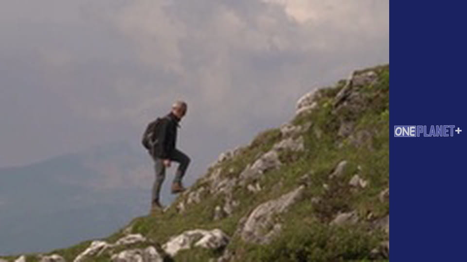 Искусство Пространства. - cерия 13