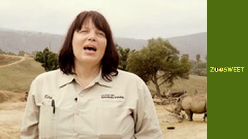 Дикі забави Сан-Дієго - серія 12