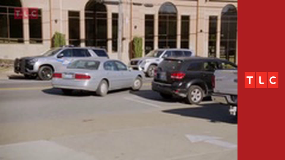 450kg sestry S6E4 - Velbloud v místnosti