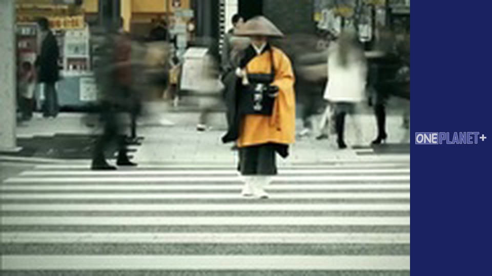 Interesting, Season 1, Episode 12