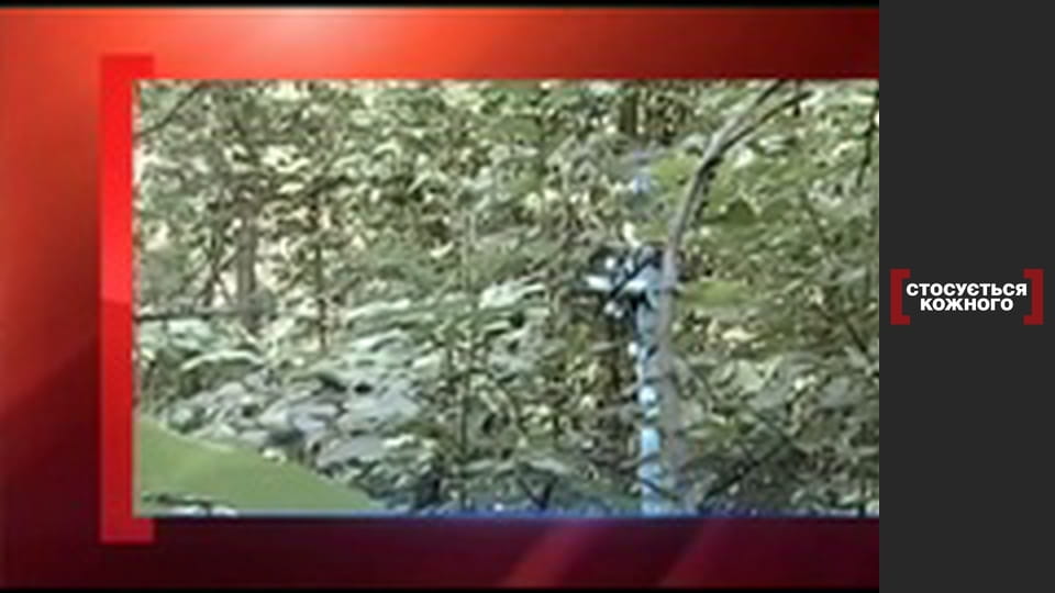 Народження на цвинтарі.