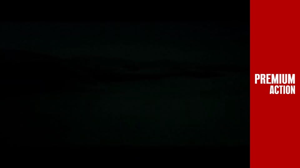 Черепашки-ниндзя