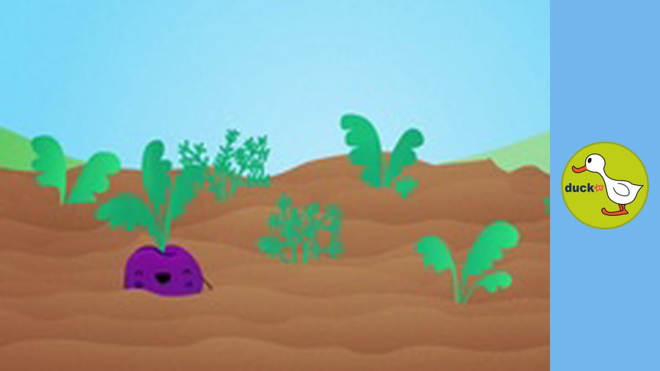 Happy Garden - Carrot, Radish and Beetroot