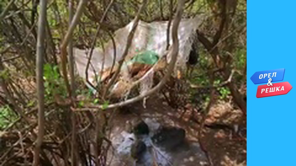 Шопінг 4 сезон - випуск 13