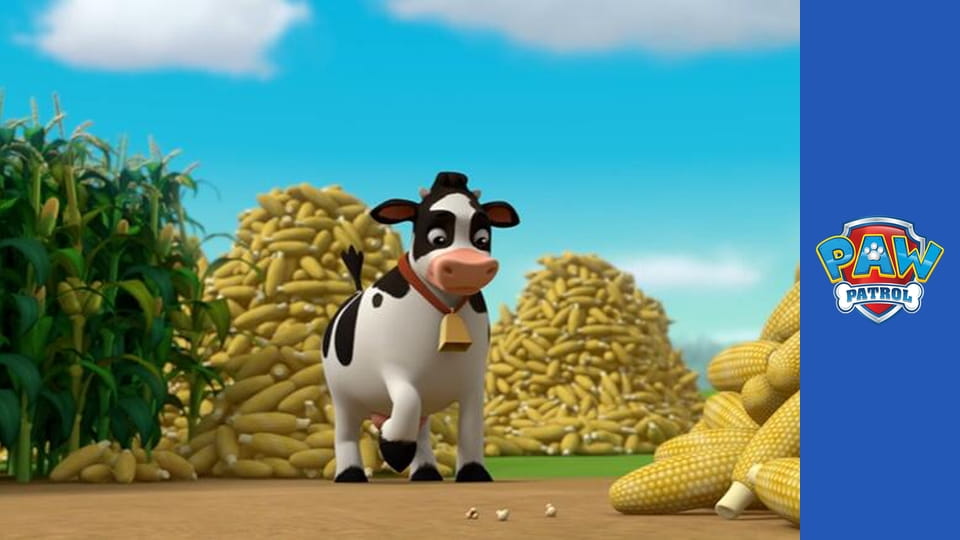 Psi Patrol Sezon 2 Odcinek 9