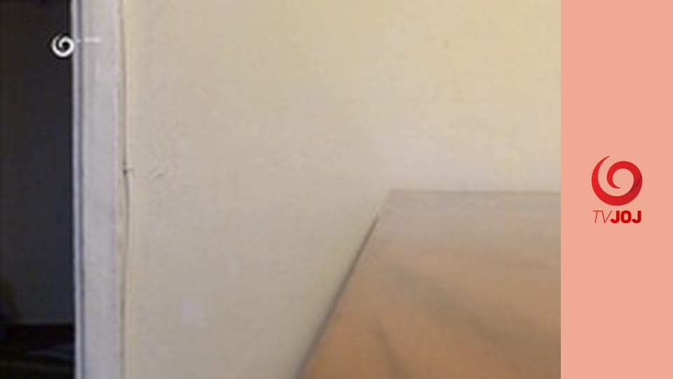 Najlepšie zvieratá na videu