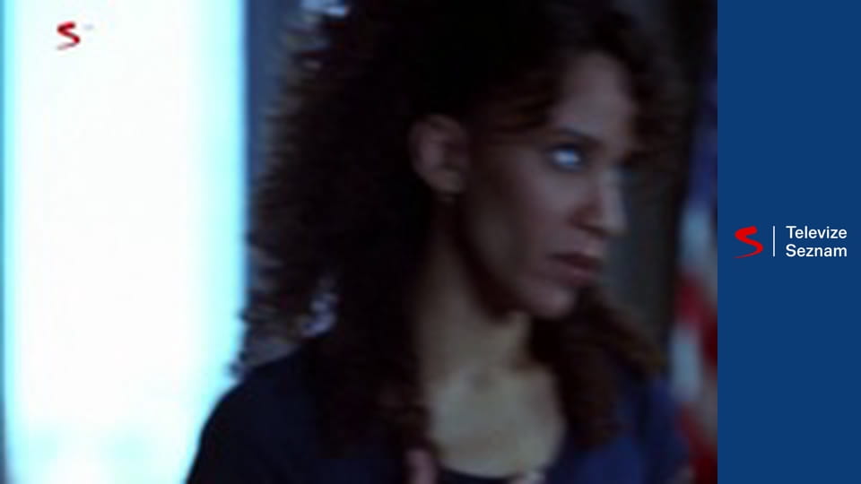 Vražedná čísla S5E22 - Perfektní zločiny