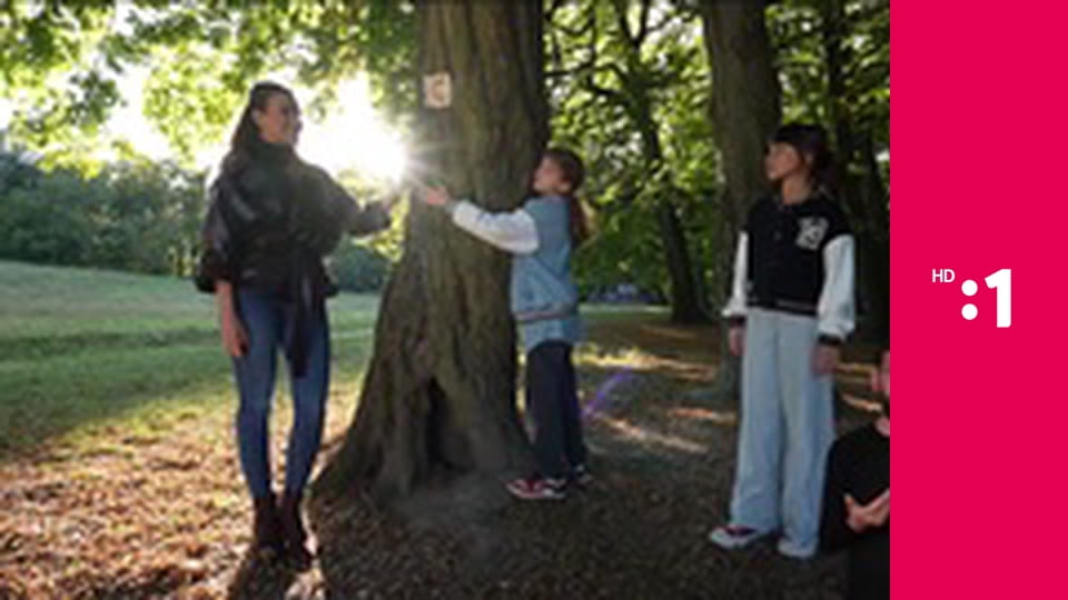 Zázračný ateliér E31