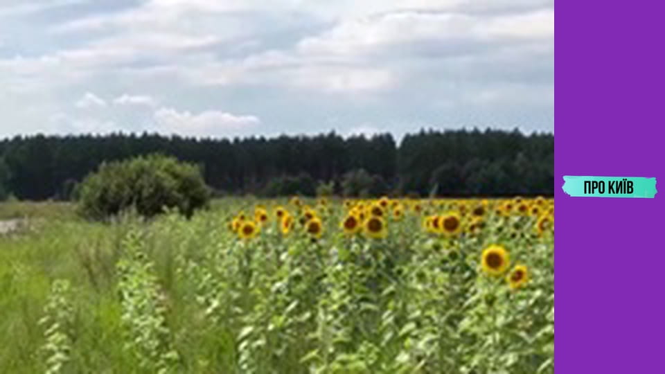 Забуті курорти Чорнобиля. Святкуємо ювілей.