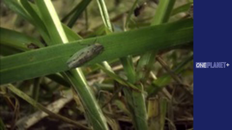 В поисках знаний. - cерия 13