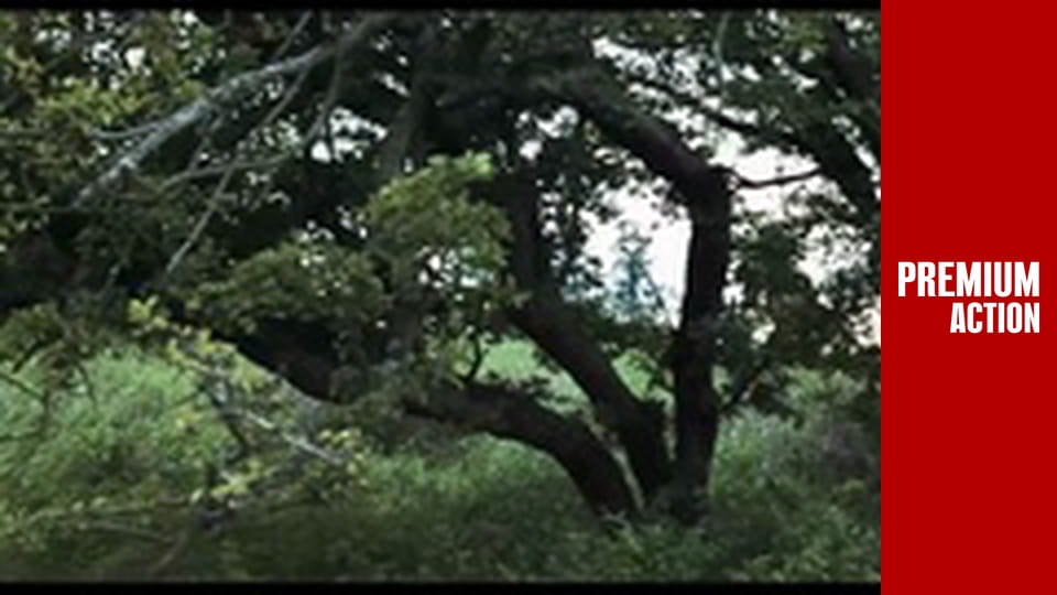 Врятувати рядового Раяна