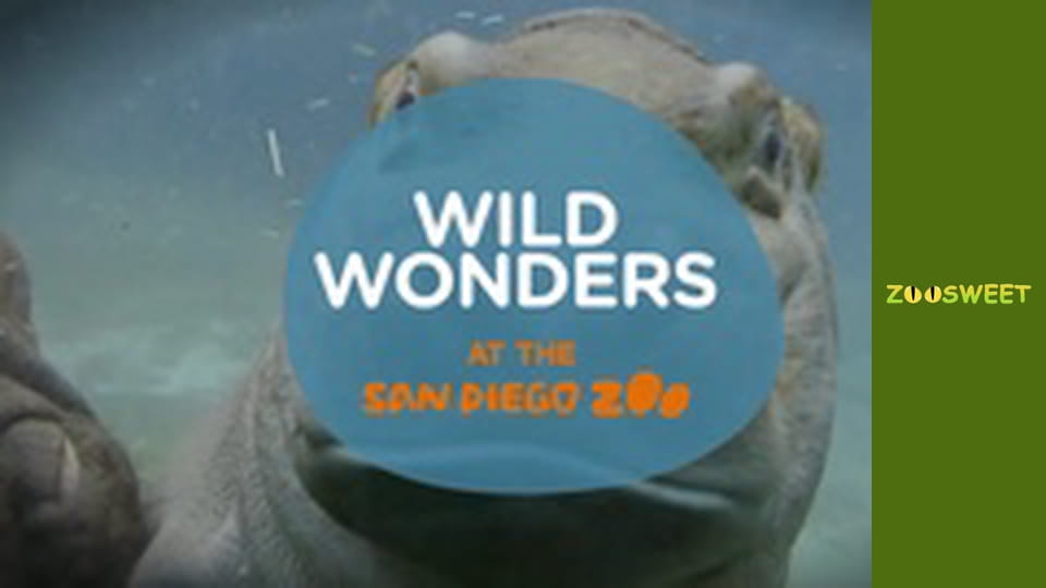 Дикі тварини Сан-Дієго - серія 12