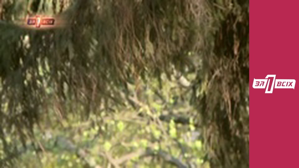 Месть отчима. Часть 1