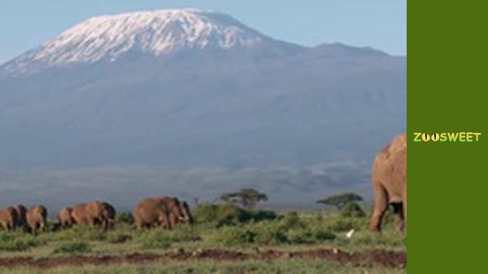 World of the Wild - episode 2