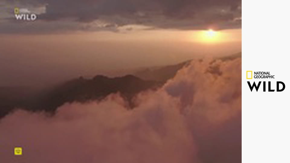 Nová divočina Evropy S1E1 - Návrat velikánů