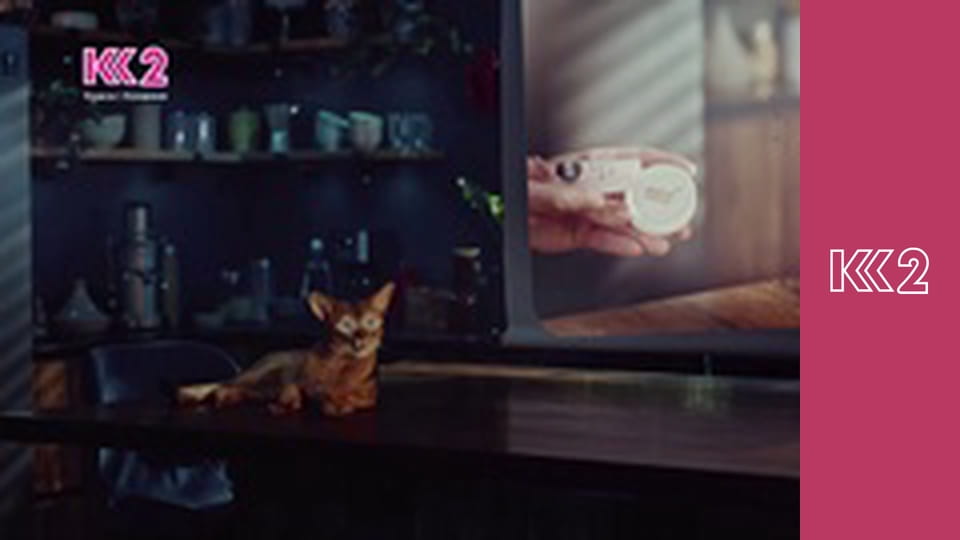 Стосується кожного S8E140 - Багатодітна втікачка