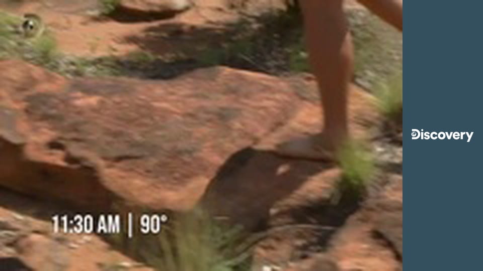 Nazí a vystrašení S7E13