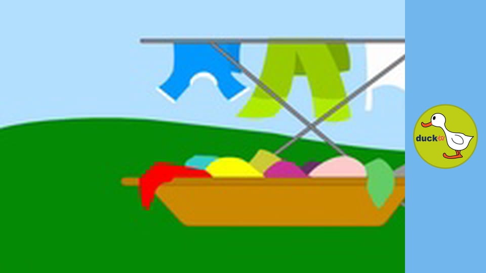 Finn and Fianna - Laundering on sunny day