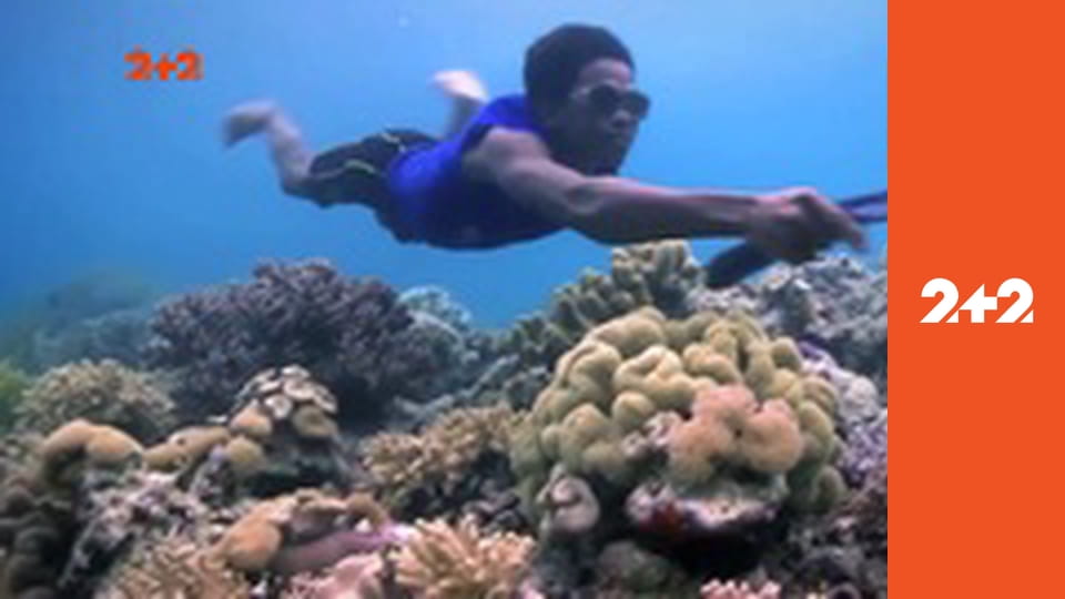 Загублений світ