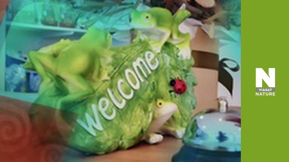 Кліника дивних тварин - Серія 3