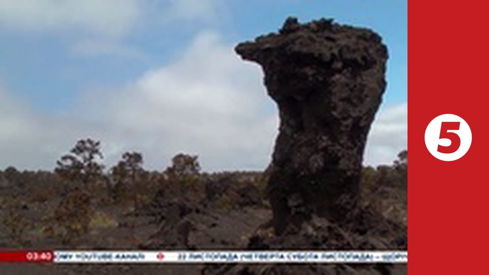 Лінійка документальних фільмів