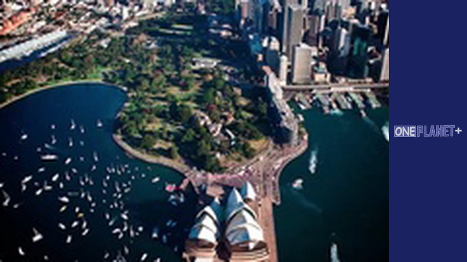 Мегаполіси, Сезон 1, Випуск 2