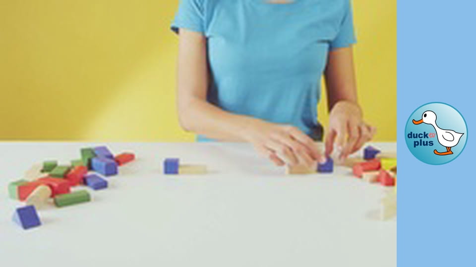 The World of Toys - Wooden building blocks 3