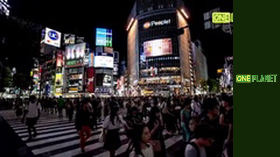 Новый маршрут, 14 эп.