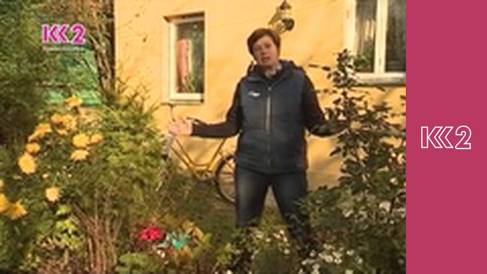 Удачний проект S4E1