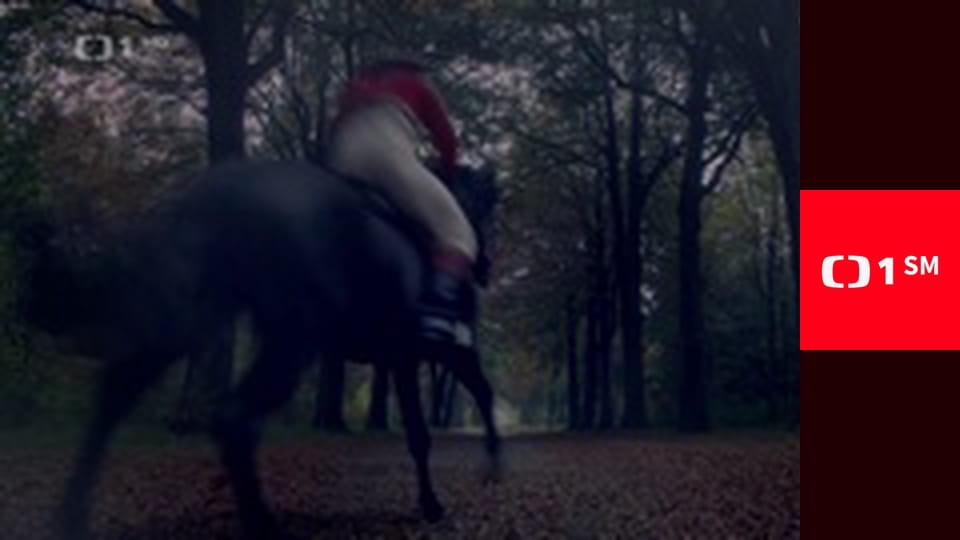 Inspektorka Candice Renoirová II - Kdo mlčí, souhlasí