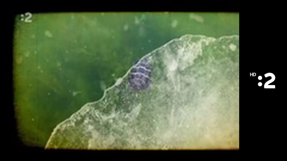 Zázračný miniateliér E95 - Jesenný obrázok