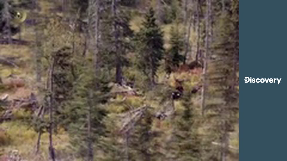 Aljaška: Poslední hranice S6E14 - Přichází zima