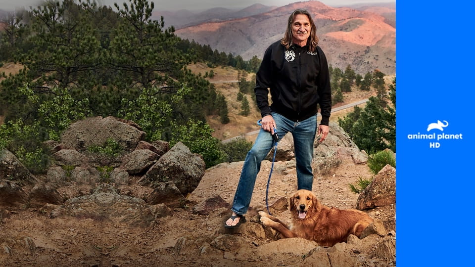 Доктор Джефф. Ветеринар Рокки Маунтин S5E12 - Воссоединение семьи