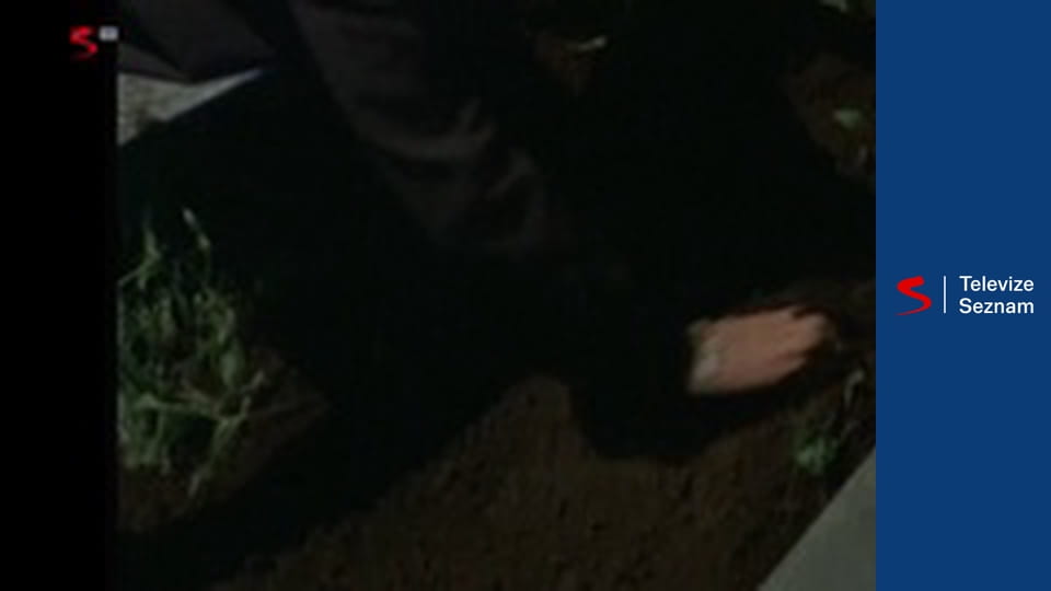 Věřte nevěřte E34 - Literární agent / Duch z hrobky / Panenka / Hubertova kletba / Sdílená vize