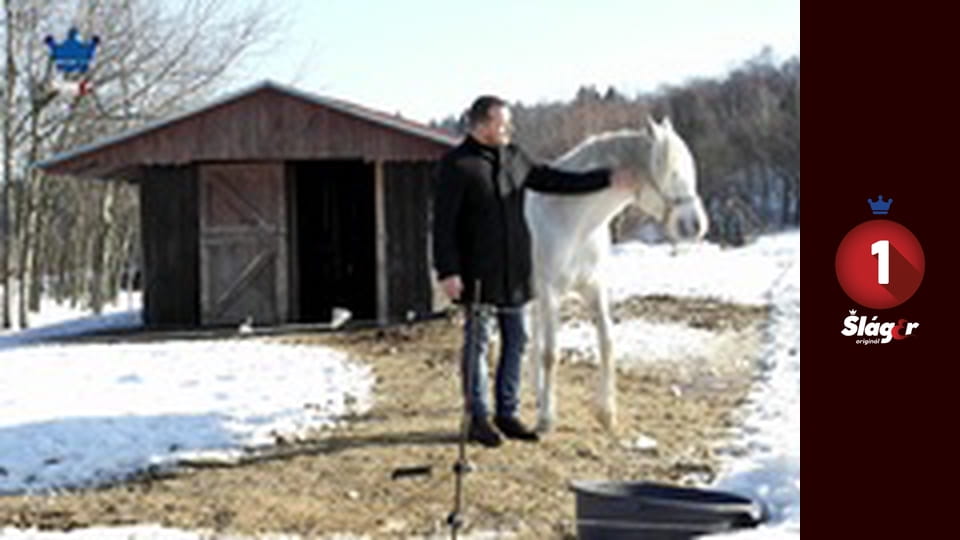 Podvečerní zábava