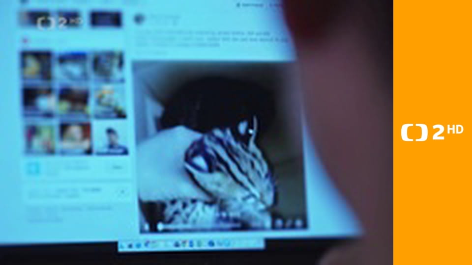 Příroda na kliknutí